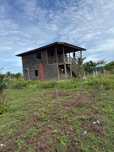 This image depicts a two-story wooden structure situated in an overgrown field within the city of Tela, Honduras. The building features dark, weathered wood plank siding and a dark corrugated metal roof. An open-sided wooden veranda with a railing is present on the upper level, accessed by an external wooden staircase ascending from the ground. Rectangular window openings are visible on both levels, some fitted with metal security grates. A reddish-orange corrugated metal panel is vertically affixed to the lower level on the left side of the house.
The foreground and midground consist of an uneven terrain covered in green grasses, weeds, and dry foliage. A rudimentary fence made of multiple strands of barbed wire supported by thin wooden posts extends horizontally across the lower frame. Scattered debris, including plastic wrappers, is visible on the ground near the fence. In the background, tropical vegetation, including palm trees, partially obscures a smaller, single-story building with a light blue roof. The sky is partly cloudy with white cumulus clouds against a pale blue backdrop, indicating daytime. No individuals are present in the scene.