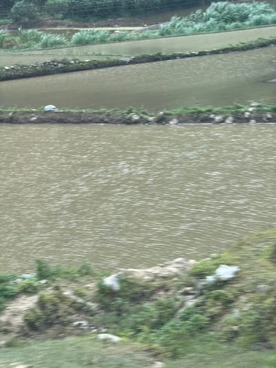 An elevated view captures a series of water-filled agricultural fields, characteristic of rice paddies in Du Già Commune, Vietnam. The scene is dominated by long, rectangular plots of murky, brownish-green water arranged in parallel strips. The water's surface is covered with numerous small, elongated white streaks, indicating ripples from wind or light rain.

These paddies are separated by narrow, raised embankments. These embankments are sparsely covered with green vegetation, showing sections of exposed earth and scattered rocks.

On the far left side of the image, beyond several paddies, a denser band of lush green foliage, possibly trees or taller plants, runs alongside what appears to be a darker path or track. On the far right, bordering the largest water-filled field, is an uneven, higher embankment or natural hillside. This area is covered with green grass and some scattered bushes, with a few light-colored rocks visible on its surface.

Few man-made objects are present: a small, white, semi-circular object, possibly an umbrella or a piece of plastic sheeting, is situated on an embankment in the lower-middle section. Another smaller, light-colored object is barely visible on an embankment further to the left.

The lighting is diffuse, suggesting an overcast day. No human activity is visible, and there is no discernible text.
