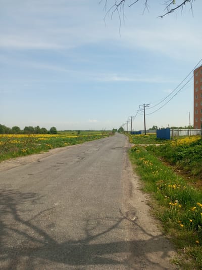 A long, gray asphalt road stretches into the distance, winding slightly to the left. The road surface is uneven, marked with patches and repairs. On either side of the road are fields of yellow flowers, possibly dandelions, which extend to the horizon, interspersed with green vegetation and occasional trees. Utility poles with electrical wires run along the right side of the road. A tall, brick-colored building is visible on the right, and a blue fence partially obscures the view further down the road. The sky is light blue with sparse clouds. A bare tree branch intrudes into the top right corner of the frame. Shadows cast by trees fall across the road surface in the foreground. The photograph appears to be taken in Kommunar, Russia, based on the location metadata. There are no people visible.