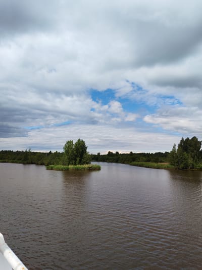 The image depicts a wide, dark body of water with ripples, likely a river or lake. The water occupies the lower half of the frame. Along the far bank, dense green foliage and trees form a natural barrier, extending across the horizon. A small, tree-covered island is visible in the middle ground, to the left of the center. The sky above is filled with a mix of dark, dramatic clouds and patches of bright blue sky with scattered white clouds. The scene appears to be a natural landscape, possibly on a cloudy day. No people or man-made structures are clearly visible besides what appears to be a white railing in the lower left corner, suggesting the photo may have been taken from a boat or bridge.