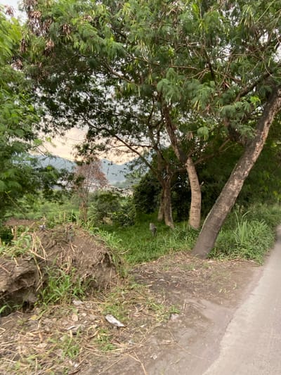 The image shows a dirt road in Kecamatan Margaasih, Indonesia. The road is bordered by a grassy area and a large pile of dirt and debris. There are several trees growing along the side of the road, and a few small shrubs are visible in the distance. The sky is partly cloudy, with a light pink hue in the distance. The image was taken at a slight angle, looking down the road from the edge of the grassy area. The road is relatively empty, with no vehicles or people visible. The image was taken from a point close to the road, and the grassy area and pile of dirt are in the foreground. There are a few pieces of litter visible on the ground. The image was taken during the day, and the light is slightly hazy. The image was captured at the location in Kecamatan Margaasih, Indonesia, based on coordinates (latitude: -6.962, longitude: 107.536).