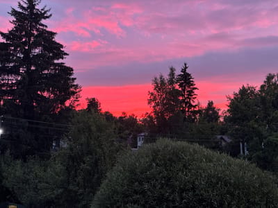 The image captures a vibrant sunset scene over a wooded area, likely on the outskirts of a settlement, as indicated by hints of buildings and power lines. The sky is a striking display of color, transitioning from a bright, fiery red near the horizon to shades of pink and purple higher up, with scattered clouds. In the foreground, dense green foliage, including what appears to be a large evergreen tree on the left and a thick bush on the right, partially obscures the view of the sky and background. The middle ground reveals more trees and glimpses of structures, including a building with a distinct white and green facade and twin square windows, and other houses with dark roofs. Power lines are visible strung between poles, suggesting a rural or suburban environment. The overall impression is one of a peaceful, natural landscape bathed in the dramatic light of a setting sun.
