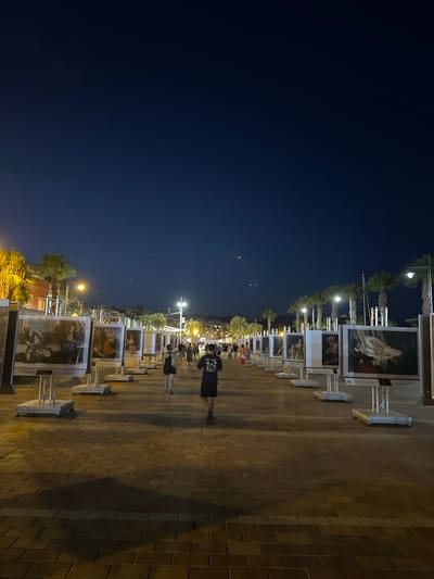 The image depicts an outdoor art exhibition at night in the city of Mazarrón, Spain, likely along the waterfront promenade. The sky is a deep, dark blue, indicating twilight or nighttime. The ground is paved with rectangular bricks, casting shadows from the exhibited artworks and palm trees.
Rows of large framed artworks are displayed on stands, stretching into the distance. These artworks appear to be classical paintings, judging by the visible details. Several palm trees are planted along the sides of the promenade, some illuminated by streetlights. Buildings with lights are visible in the background, suggesting an urban environment.
Several people are walking along the promenade, viewing the exhibition. In the foreground, two individuals are walking away from the camera. One is a male wearing a black t-shirt and shorts, and the other is a female in a dark dress. Further down the promenade, more people are seen walking and standing. The overall atmosphere is one of a cultural event taking place in a pleasant evening setting.