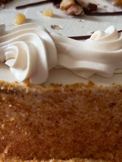 This is a close-up, overhead shot of a slice of cake. The cake has a textured, brown crumb and is topped with white frosting piped in a swirl. Some small, light-colored pieces, possibly nuts or candied fruit, are scattered on the frosting. Dark lines, likely indicating chocolate or caramel drizzle, are also visible on the surface. The background is out of focus and appears to be a light-colored surface, possibly a plate or tablecloth. There are no people or indications of a specific location in Kant, Kyrgyzstan.