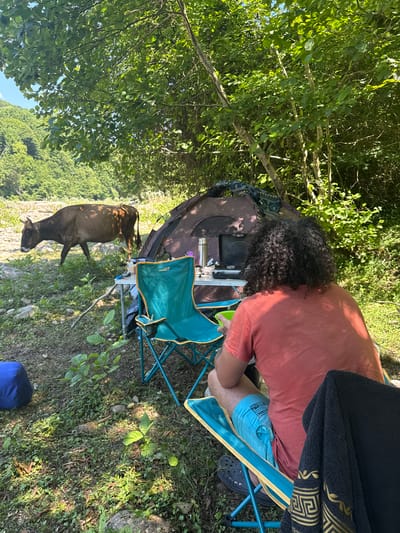 A cow walks in a wooded area near a campsite in Abgara, Abkhazia. A man with curly hair sits in a camping chair, facing away from the camera, holding a green bowl. A tent, a portable stove, a thermos, and a folding table are set up near the man. The ground is covered in grass, rocks, and fallen leaves. In the background, a green, tree-covered hillside rises towards a blue sky.