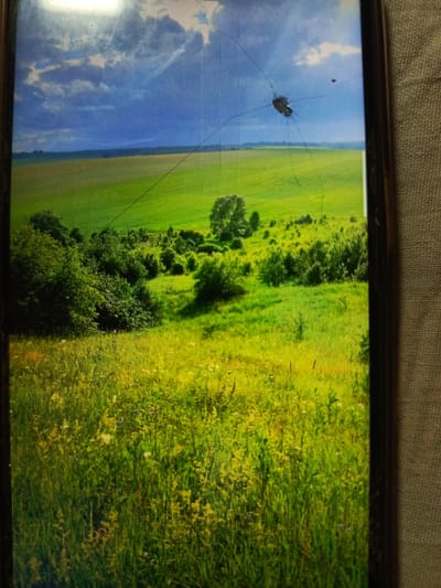 The image displays a broken screen, possibly from a phone or tablet, showing a landscape scene. The landscape features a bright blue sky with scattered clouds, a distant horizon of rolling green fields, and closer foregrounds of lush green grass and scattered trees. The screen's damage is evident as visible cracks radiating from a central point, distorting the image in those areas. The location in the city of Svoboda, Russia, is not discernible from the visual information provided in the image.