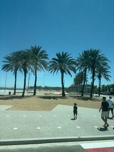 The image depicts a sunny day in La Pineda, Spain, with a clear blue sky. In the foreground, a tiled pathway is visible, with several white circular markers embedded in the tiles. Three people are walking on this pathway. One is a young boy in a black t-shirt and shorts, walking away from the camera. To his right, a man in a black t-shirt and checkered shorts is walking towards the right of the frame, and another man in a white t-shirt and dark shorts is walking behind him.
Behind the pathway, there is a sandy area with several palm trees casting shadows. Further back, there is a promenade with benches and lampposts, leading towards the beach. The sea and a distant shoreline with buildings and more trees are visible under the bright sky. Cars are parked along a road in the background, and a modern outdoor structure with a roof is also present.