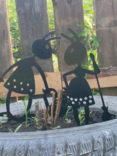 This image depicts a planter made from a repurposed tire. Inside the planter, two black silhouette figures, resembling ants with exaggerated humanoid features, are planted in the soil. The figure on the left wears a dress with polka dots and is bent over, while the figure on the right stands upright, holding a broom. Young green shoots are growing around the figures. In the background, a weathered wooden fence separates the planter from an area with green foliage. The image appears to have been taken outdoors, likely in a garden or yard setting. It is not possible to determine the specific location within the city of Zalesovo, Russia from the image alone.