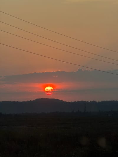 The image depicts a sunset over a rural landscape. The sun, a vibrant orange orb, is partially obscured by clouds and is low in the sky, casting a warm glow on the scene. In the foreground, a dark, silhouetted field stretches out, with indistinct vegetation. Behind the field, a line of trees forms a dark ridge against the horizon. Further in the distance, a solitary transmission tower is visible. The sky is a gradient of orange and brown, with several horizontal power lines stretching across the upper portion of the frame. The overall impression is one of quiet twilight in a natural setting. The location is stated as Конец-Бор, Russia. There are no people or identifiable animals in the image, nor any specific actions or interactions occurring. The scene is static and peaceful.