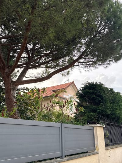 The image depicts an upward view of a residential scene in Champigny-sur-Marne, France. Dominating the left side is a large pine tree with dense green foliage and a visible brown trunk extending diagonally across the frame. To the right, a building with a red-tiled roof and beige facade is partially visible. Adjacent to the building is a tall, grey-painted fence, and green vegetation. The sky is cloudy and overcast.
