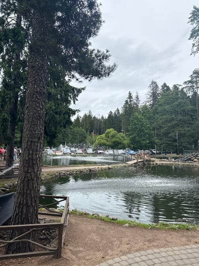 The image depicts an outdoor scene with a focus on a pond with fountains. In the foreground, a large tree trunk dominates the left side of the frame, with its rough bark and green needles. To the right of the tree, a wooden bench with an artistic, rustic design is visible. Beyond the tree and bench lies the pond, which is filled with rippling water and features several active fountains spraying water into the air. The pond is bordered by a sandy path and a cobblestone walkway on the right.
In the background, a dense forest of tall green trees rises behind the pond. Several vehicles, appearing to be cars and possibly some trucks, are parked along the edge of the forest. A Russian flag flies on a pole in the distance. A few people are visible near the pond, some standing and others seated, suggesting a leisurely atmosphere. One person in the foreground is wearing a red shirt, and a small group is gathered further back near the pond's edge.
The sky is overcast, indicating a cloudy day. The overall mood is calm and relaxed, consistent with a park or recreational area. The location cues, such as the Russian flag and the mention of Komarovo, Russia, place the scene in this specific region. The time of day appears to be daytime, given the natural light. No visible text is present in the image.