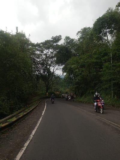 The image displays an asphalt road in Ariyalai East, Sri Lanka, bordered by dense green vegetation under an overcast sky. The road features a solid white line marking its left edge and gently curves towards the right in the distance. A yellow and grey metal guardrail runs along the left side of the road, beyond which is a lower bank and a thick growth of tall, slender green plants, consistent with bamboo. On the right side of the road, the terrain rises, covered in a dense forest of various green trees and bushes, with a street light pole visible further down the road. Multiple motorcycles are present, all traveling away from the viewer. In the right foreground, a red scooter is occupied by two helmeted individuals wearing dark clothing, with a purple scooter partially visible behind it. Further ahead, a dark-colored scooter with a single helmeted rider proceeds on the left side of the lane. Approximately five additional motorcycles, each with one or two helmeted riders, form a cluster in the mid-ground on the right. A large tree with a wide, full canopy stands prominently in the center-left mid-ground. Distant hills are faintly visible through the trees beneath the cloudy sky in the background.