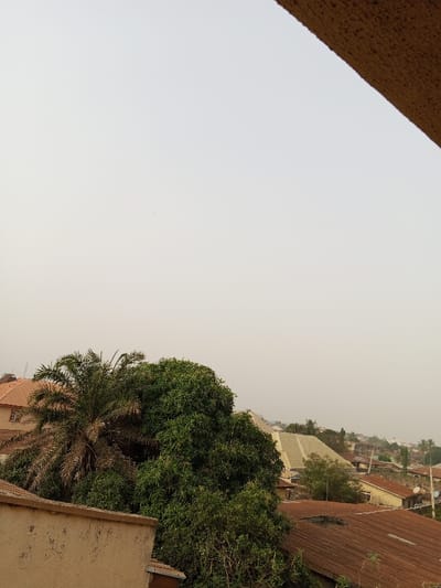 A view of a cityscape, partially obscured by a hazy atmosphere. In the foreground, there are several trees, including a palm. Rooftops of various buildings, some with red tiles, are visible in the middle ground. A tiered, pyramid-like structure stands out amidst the other buildings. The sky is a pale, overcast gray. A textured, brown object occupies the upper right corner, possibly part of a building.