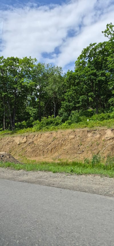 The image shows a roadside scene with a steep, eroded embankment and a forest bordering its upper edge. The embankment is composed of light brown soil and appears to be undergoing erosion, with visible layers and loose soil. A small pool of muddy water is present at the base of the embankment, suggesting recent rainfall or poor drainage. Green grass and weeds grow at the bottom and top of the embankment, attempting to stabilize the soil.

Above the embankment, a dense forest of deciduous trees with lush green foliage dominates the upper portion of the image. The trees are tall and varied in shape and size, creating a thick canopy. The sky above is partly cloudy, with patches of blue sky visible between white, fluffy clouds.

In the foreground, a gray asphalt road runs diagonally across the bottom of the image, with a gravel shoulder bordering the embankment. The scene appears to be a natural landscape, likely in a rural or undeveloped area. The presence of the road suggests it is a route through a wooded region.

While the location is identified as Taezhnyi, Russia, the image itself does not contain any specific landmarks or features that would definitively confirm this location. The scene is typical of many forested regions and roadside environments found in similar geographical areas. There are no people, animals, or specific objects that would indicate any particular activity or event.