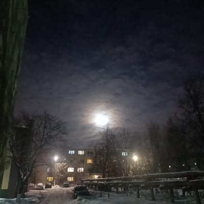 A nighttime winter scene under a cloudy sky with a bright moon. A snow-covered street is framed by bare trees and apartment buildings with lit windows. Several cars are parked along the street. The foreground features snow-covered pipes or railings. A tall building obscures the left side of the image.