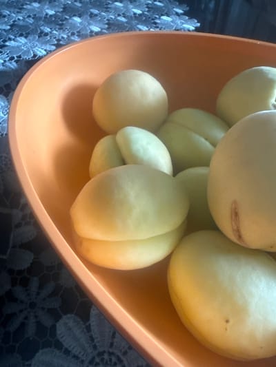 A shallow, orange plastic bowl is filled with several light yellow apricots. The apricots are plump and smooth-skinned, with some showing faint blush marks or small dark spots. The bowl is resting on a dark, textured fabric that appears to be lace, with a floral pattern. The background is dark and out of focus. The lighting suggests an indoor setting, possibly with natural light. The overall scene conveys a sense of fresh, ripe fruit presented simply. The location is noted as Metsamor, Armenia. There is no visible text in the image.