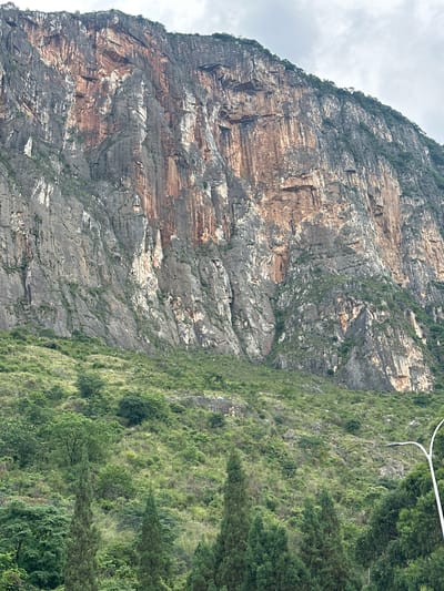 A towering, sheer rock face dominates the frame, its surface textured with vertical striations and patches of reddish-brown mineral deposits. The rock is partially covered in patches of green vegetation, clinging to its crevices and ledges. Below the cliff, a dense, verdant hillside slopes downwards, covered in a variety of trees and shrubs, ranging from lush, leafy canopies to slender, conical evergreens. In the foreground, the tips of several tall, dark green cypress-like trees are visible. A modern, white street lamp with a curved arm arches into the upper right corner of the image. The sky above is overcast with soft, grey clouds. The scene appears to be a natural landscape with some man-made elements, likely located in a mountainous or hilly area.