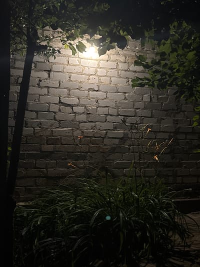 A dimly lit outdoor scene features a white brick wall illuminated by an overhead light source. A portion of a dark tree trunk is visible on the left side of the frame, casting a shadow. In front of the wall, lush green grass and several slender plants with small, orange flowers are growing. The ground appears to be paved with rough stones. The overall ambiance is dark and slightly eerie due to the low lighting and the shadows. The location is identified as Shulhynka, Ukraine.