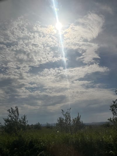 The image captures a natural landscape under a partially cloudy sky with the sun partially obscured by clouds, creating a bright lens flare. In the foreground, dense green grass and vegetation stretch across the scene, with several leafy trees dotting the area. In the background, rolling hills are visible under a muted, cloudy sky. The setting appears to be a natural, undeveloped area, possibly a park or a field on the outskirts of Narbonne, France. There are no people or animals visible in the image. The overall atmosphere is serene and suggests a daytime scene.