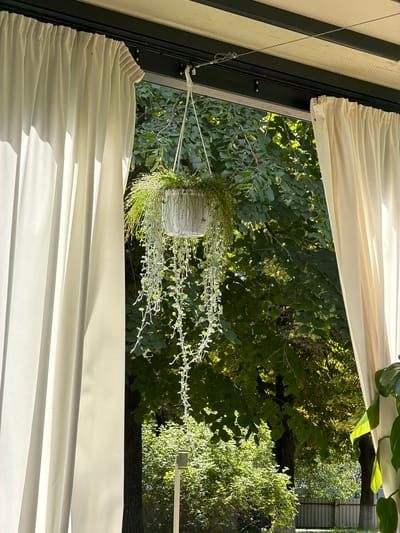 A white hanging planter with two types of cascading green plants is suspended by a rope from a dark metal beam. The planter is centered in the frame, with cream-colored curtains on either side. Behind the planter, lush green trees and foliage are visible, bathed in sunlight. In the background, a light-colored fence and a birdhouse on a pole can be seen. The scene appears to be an outdoor patio or balcony area in Revne, Ukraine.