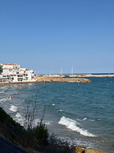 This is a photograph of the coastline in El Roc De Sant Gaietà, Spain. The scene captures a sunny day with a clear blue sky. In the foreground, the ocean is a deep blue, with moderate waves breaking near the shore. Several people are visible in the water, swimming and enjoying the sea. Some are closer to the shore, wading in the shallows, while others are further out.
Dominating the left side of the image is a cluster of white buildings with red-tiled roofs, characteristic of Mediterranean architecture. These buildings appear to be apartment blocks or hotels, with balconies and awnings visible.
Further out in the sea, a breakwater made of large rocks separates the main body of water from a harbor area. Several sailboats and smaller boats are moored within the harbor, with their masts rising above the water. A lighthouse or navigational marker is visible on the far right edge of the breakwater.
The beach itself is not explicitly shown in detail, but the presence of people in the water suggests a sandy or pebbly shoreline. Vegetation, including dry branches and some green bushes, lines the edge of the cliff or embankment in the lower left of the frame. The overall impression is a lively coastal resort scene on a summer day.