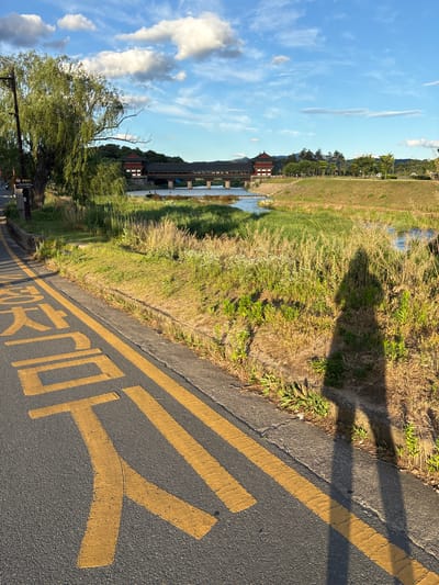 A street-level view captures a shadow of a person standing on a road with yellow markings in Gyeongju-si, South Korea. The yellow markings appear to be Korean characters, possibly indicating a bus stop or designated area. To the right of the road, a grassy embankment slopes down to a river. In the background, a long, traditional Korean bridge with red-tiled roofs spans the river. Lush green trees and vegetation line the riverbanks and the far side of the river. The sky above is a bright blue with scattered white clouds, suggesting a clear day. A willow tree with long, drooping branches is visible on the left side of the image, near a lamppost.