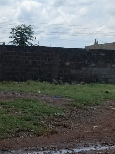 This image depicts an outdoor scene in Juja ward, Kenya, under an overcast sky. The foreground consists of a muddy, gravelly dirt path with scattered patches of green grass. Visible debris includes small white objects and a blue item on the ground. A dark-colored cinder block or brick wall, partially unfinished or damaged, extends horizontally across the midground. At the base of the wall, near the center, several loose bricks or rubble are present. Above the left section of the wall, a green-leafed tree is visible. Above the right section of the wall, part of a light-colored building with an exposed pipe or vent structure can be seen. Multiple utility lines traverse the sky horizontally above the wall. No individuals or active interactions are observed.
