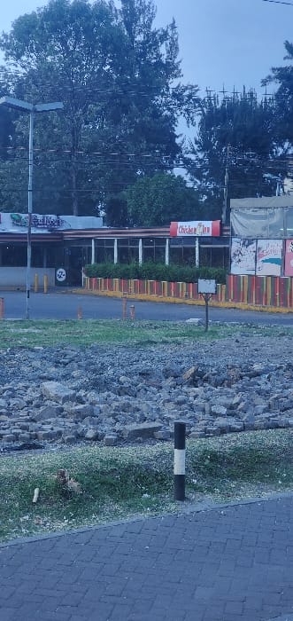 An outdoor scene features a "Chicken Inn" sign, partly obscured by trees, alongside other storefront signs. A brightly colored yellow and orange barricade runs adjacent to a road, with a sidewalk visible. Beyond the sidewalk, a rocky, gravelly area transitions into a paved road. A black and white pole is positioned along the road's edge. The overall lighting suggests an early morning or late afternoon setting.