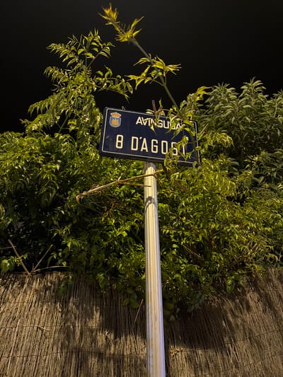 This media file shows a street sign in Ibiza, Spain, at night. The sign is dark blue with white lettering and features a coat of arms. The visible text on the sign reads "AVINGUDA 8 D'AGOST." The sign is partially obscured by lush green foliage, suggesting an outdoor setting with abundant vegetation. A white pole supports the sign. To the right of the foliage is a textured surface that appears to be a woven mat or fence, possibly made of reeds or similar natural material. The lighting suggests artificial light sources are present, illuminating the sign and the surrounding greenery, while the background is dark, indicating it's nighttime. The scene is static, with no people or apparent activity. The overall impression is one of a quiet, possibly residential or park-like area at night, marked by this street sign.