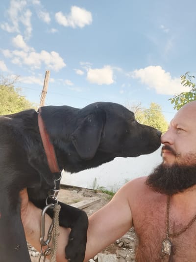 The media file is a close-up, outdoor photograph taken on a sunny day with a partly cloudy sky. The main subjects are a bald man with a beard and mustache, and a black dog, likely a Labrador, held in the man's arm. The man is shirtless, wearing a thick chain with a pendant around his neck. The dog is wearing a red collar. They are positioned nose-to-nose, suggesting an affectionate interaction.
The background shows a white structure, possibly a fence or wall, with some scattered stones and debris on the ground. In the distance, trees and vegetation are visible, along with a rustic wooden post. The overall setting appears to be a rural or semi-rural outdoor area. The lighting indicates it is daytime.
The man's facial expression is not fully visible due to the dog's head, but the gentle interaction with the dog suggests a positive emotion. The dog's eyes are closed, further emphasizing the tender moment. The image captures a close bond between the man and his pet. There is no visible text in the image. The location context provided is Semypolky, Ukraine.
