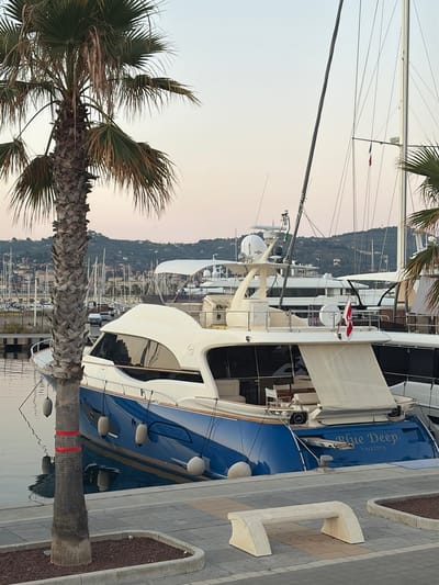 This media file captures a scene at a harbor in Imperia, Italy, likely during the late afternoon or early evening given the soft, diffused light and pastel hues of the sky. The primary subjects are several luxury yachts docked along a paved walkway. One prominent yacht, painted a striking blue, has the name "Blue Deep" and "VALLETTA" inscribed on its hull. The yacht features white trim and a cream-colored awning. Another larger white yacht is visible behind it, with masts and rigging suggesting it might be a sailing yacht.
The foreground is dominated by a large palm tree, its fronds extending into the frame, indicating a Mediterranean climate. The trunk of the palm tree has two distinct red bands. The walkway is made of light-colored paving stones, bordered by a textured grey material. In the background, a hillside covered with buildings and trees slopes down towards the water, hinting at a coastal town. Numerous other sailboats and yachts are visible further in the harbor, their masts creating a dense, detailed backdrop.
The scene appears calm and peaceful, with no people visible. The weather seems pleasant, with a clear sky suggesting a tranquil day at the marina. The overall impression is one of serene opulence and the quiet beauty of a Mediterranean harbor at dusk.