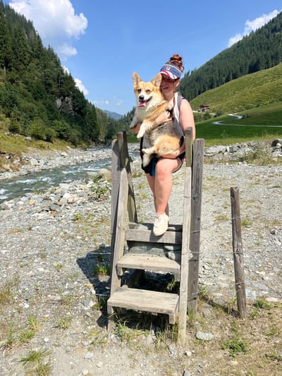 The image depicts a female individual holding a Pembroke Welsh Corgi dog, standing on a weathered wooden stile with three steps, in a mountain valley near Reitlehen, Austria, on a clear, sunny day.

The individual is positioned on the second step from the top, facing forward. She is wearing a white tank top, dark shorts, light-colored sneakers, and a blue and white Fila-branded visor. Her facial expression shows a smile, and she is looking directly at the camera. The Corgi, a tri-color dog with visible black, tan, and white fur, appears somewhat matted or damp in places, and is held in the individual's arms at chest level, also facing forward. Its mouth is open with its tongue slightly extended.

Behind the subjects, a fast-flowing, clear river with rocky banks runs through the valley. Dense coniferous forests cover the steep slopes of the mountains flanking the valley on the left, while the right slope features a mix of forest and grassy terrain. Several traditional-style buildings are visible on the distant grassy slope to the right. The ground in the foreground is composed of gravel, small rocks, and sparse vegetation. A single wooden fence post with barbed wire is visible to the right of the stile. The sky is bright blue with scattered white cumulus clouds.