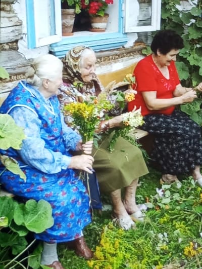 Three women are depicted outdoors in Wojnowice, Poland, situated on a low wooden bench or platform against a weathered, light-colored wooden building facade. An open window with distinct blue trim and white sashes is visible in the background, showcasing two potted red geraniums.

From left to right:
1.  An elderly woman with light-colored hair styled in a bun, wearing a long-sleeved blue dress with a red floral pattern, holds a bouquet of yellow and green wildflowers. Her feet are clad in white socks and brown closed-toe shoes. She is looking towards the center woman.
2.  An elderly woman wearing a patterned headscarf, a patterned long-sleeved top, and an olive-green skirt. She is actively engaged with a collection of yellow and white wildflowers in her hands. Her feet are in white slip-on sandals.
3.  A woman with dark, short curly hair, wearing a red short-sleeved top and a dark patterned skirt. She is handling green foliage. Her feet are in white slip-on shoes.

The ground around the women is covered in green grass and scattered wildflowers, predominantly yellow. Large green leaves are visible in the foreground on the left and also along the right side of the image, suggesting a lush, natural environment. The scene is illuminated by natural daylight.
