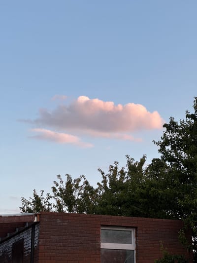 The image depicts a twilight sky above a brick structure and trees. The sky is a gradient of pale blue to a lighter hue near the horizon, with a prominent pink-tinged cloud formation situated centrally in the upper half of the frame. A small, dark object, possibly a bird, is visible in the upper left quadrant of the sky. Below the sky, the tops of dark green trees with dense foliage stretch across the middle ground. In the foreground, a red brick building with a visible window and a section of a wooden-roofed structure to the left occupies the bottom portion of the image. The scene appears to be an outdoor view, likely in a suburban or rural setting, potentially within Novotitarovskaya, Russia, given the provided context.