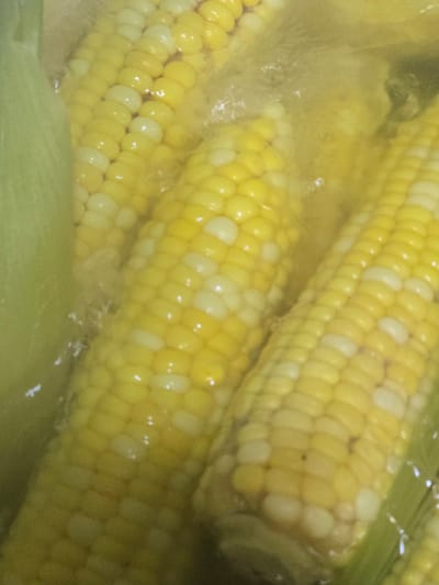 The image shows a close-up view of several ears of corn partially submerged in water. The corn is a mix of yellow and white kernels, arranged in rows. The water is cloudy and appears to be boiling or simmering, with small bubbles visible on the surface. Some of the green husks of the corn are also visible, peeking out from the water. The lighting is diffused and yellow-toned, suggesting an indoor setting. The overall impression is of corn being cooked, likely for consumption. There is no visible text, people, or specific location cues beyond the general setting of cooking corn. The time of day and weather are not discernible.