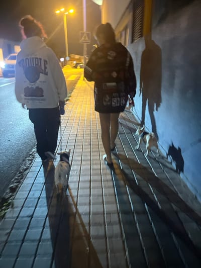 The image displays a nighttime scene on a street and sidewalk in San Fernando, Spain. Two individuals are observed walking away from the camera, each accompanied by dogs on leashes. The person on the left, viewed from behind, wears a white hooded sweatshirt featuring a dark graphic with the text "TROUBLE" and dark pants. This individual holds a leash attached to a white and brown/tan dog. The person on the right, also viewed from behind, wears a dark, patterned, possibly oversized jacket or sweatshirt, dark shorts, and light-colored flip-flops. This individual holds leashes for two additional dogs: one appears light-colored (tan/white) and the other dark-colored (brown/black).
The setting includes a paved sidewalk composed of light-toned rectangular tiles. To the left of the sidewalk is an asphalt road surface, where a distant vehicle with illuminated headlights is visible. To the right, a light blue building wall extends parallel to the sidewalk, exhibiting dark, rectangular features. The scene is illuminated by bright artificial streetlights, primarily from the left, which cast long, distinct shadows of the individuals and their dogs across the sidewalk and onto the blue building wall. A pedestrian crossing sign is identifiable on a pole in the background.