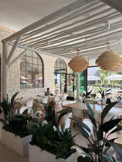 The image shows the interior of a restaurant with a relaxed, coastal vibe, likely located in Malibu, United States of America. The restaurant features a high ceiling with exposed wooden beams painted white, creating a rustic yet airy atmosphere. Two large, tiered pendant lights made of woven material hang from the ceiling, illuminating the dining area.
The walls are constructed from light-colored stone, adding to the natural and organic feel of the space. Large arched windows with black metal frames offer views of an outdoor seating area with white umbrellas and lush greenery. Inside, there are several dining tables with white wicker chairs. Some tables are set with white napkins and small potted plants as centerpieces.
In the foreground, large potted plants with dark green leaves are strategically placed, adding a tropical touch and defining seating areas. One man is seated at a table in the middle ground, facing away from the camera and looking down at his table. Another person's head is visible at the bottom right of the frame, also seated at a table. In the background, through the windows, several people are visible in the outdoor seating area. The overall impression is one of a bright, spacious, and upscale casual dining establishment.