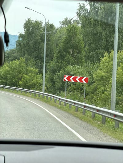 The image depicts a roadside scene on a cloudy day, likely in or around Izvestkovyi, Russia, given the context provided. A paved road curves to the left, bordered by a metal guardrail with red reflectors. Beyond the guardrail, lush green foliage and trees dominate the landscape, with a hint of hills in the background. A tall streetlight stands on the left, and a traffic sign with red and white chevrons indicating a sharp curve to the left is visible on the right. The perspective suggests the photo was taken from inside a vehicle.