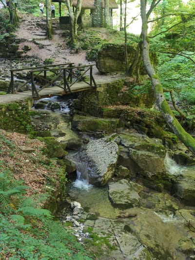 The image depicts a natural scene with a wooden footbridge spanning a shallow stream with rocky banks. The stream flows over moss-covered rocks, with clear water and some white foam indicating movement. The surrounding environment is lush and green, with trees, ferns, and other vegetation covering the landscape. In the background, a stone structure, possibly a small building or ruin, is visible amidst the trees. Two individuals, one wearing a white shirt and shorts, and another in dark clothing, are walking up a stone pathway on the left side of the image, leading away from the stream and towards the structure. The scene suggests a park or a natural reserve, likely in a forested area with a watercourse. The specific location in Teteven, Bulgaria, is noted, implying this is a documented spot within the city's natural surroundings. The overall impression is one of a serene, natural setting with a human-made element (the bridge and pathway) facilitating access.