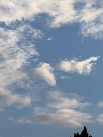 This media file captures a segment of a bright, blue sky dotted with various white clouds. The clouds range from wispy, streaky formations to more substantial, puffy cumulus clouds. The overall impression is of a pleasant, somewhat cloudy day.
In the upper left portion of the image, a small, dark speck can be observed against the blue sky. It is too indistinct to identify, but it could be a bird or an insect. On the far right edge of the frame, the dark silhouette of tree branches is visible against the sky, suggesting the presence of trees near the vantage point from which the photo was taken.
The lighting indicates it is likely daytime, possibly late afternoon or early morning given the angle of the light that creates shadows on some of the clouds. The sky is a clear, vibrant blue, suggesting fair weather. There are no people or specific man-made objects clearly visible in the frame, making the scene a natural outdoor landscape focused on the sky. The location context, Дзержинец-83 Снт, Russia, places the scene in a dacha or garden community, which aligns with the presence of trees. No text is visible in the image.