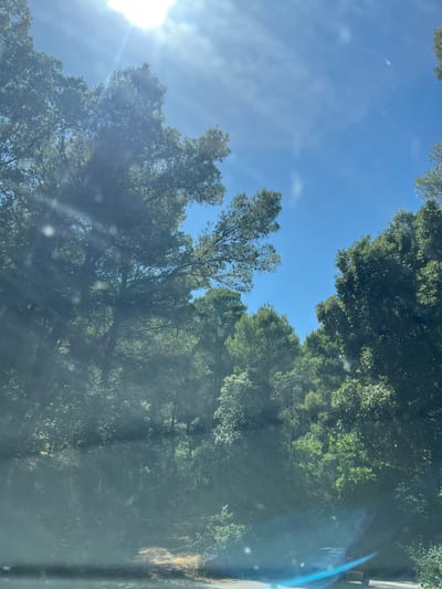 The image depicts a sun-drenched forest scene, likely from a moving vehicle given the lens flares and slight blur. Tall, green trees with dense foliage dominate the frame, interspersed with patches of bright blue sky. Sunlight streams through the trees, creating a dappled effect. In the foreground, a road is visible, with a dark-colored vehicle partially obscured by lens flares and foliage. The environment suggests a natural, possibly mountainous area, consistent with the topography around Mattinata, Italy, which is known for its lush Mediterranean vegetation and coastal roads. There are no people clearly visible in the image. The scene is peaceful and serene, with the natural beauty of the forest taking center stage.