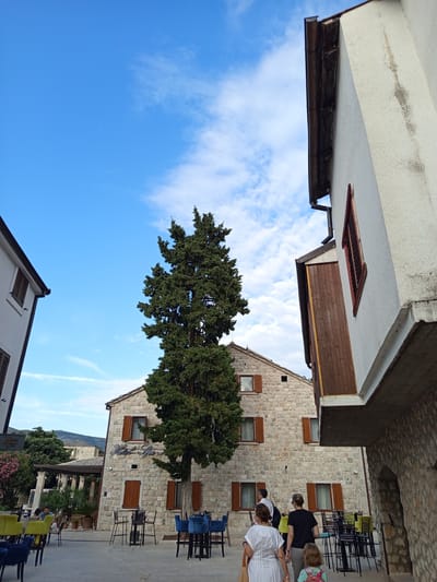 The image depicts an outdoor seating area of a hotel in Trebinje, Bosnia and Herzegovina, possibly Hotel SL Panoramik, as a sign with similar lettering is visible. The scene is set on a stone-paved plaza surrounded by buildings constructed from stone. The sky is a clear blue with scattered white clouds.
In the foreground, to the left, are several tables and chairs, some with bright green upholstery and others with dark blue. To the right, more tables and chairs, including high-top tables with bar stools, are arranged. A tall, mature cypress tree stands prominently in the middle ground, its dense green foliage contrasting with the light stone of the buildings.
Behind the tree, a two-story stone building, likely the hotel, features numerous windows with brown wooden shutters. A sign above the entrance reads "Hotel SL". To the right of this building, a portion of another building is visible, with a white stucco exterior and a prominent dark brown wooden structure extending from its facade. A window with red shutters is also visible on this building.
In the middle ground, several people are walking away from the camera. A woman in a white dress and a woman in a black t-shirt are prominent, followed by a young child. Two men are also visible, one in a white shirt and the other in a black shirt.
Further in the background, more buildings and greenery are visible, with a hint of hills in the distance, suggesting the mountainous terrain surrounding Trebinje. The overall impression is that of a pleasant, sunny day in a European town square, with the hotel serving as a central point for outdoor dining and relaxation.