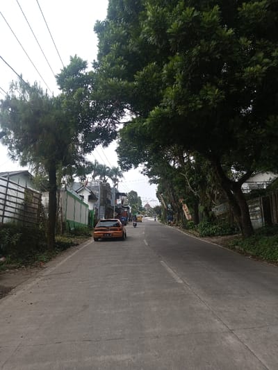 The image displays a paved road in Thotagamuwa, Sri Lanka, extending into the distance under an overcast sky. On the left side of the road, an orange/brown two-door hatchback car, with a partially visible license plate "B 1928...", is parked facing away from the viewer. Behind the vehicle, a sequence of residential structures and fences are visible, accompanied by a tall pine tree in the immediate foreground. Overhead power lines are present. The right side of the road is bordered by a line of mature trees with dense green foliage, with several decorative banners or flags affixed to them or nearby poles. Further down the road, a motorcycle is seen passing the parked car, followed by a yellow vehicle, another motorcycle, and a person on a bicycle, all proceeding away from the camera's perspective. The immediate roadside on both sides features overgrown vegetation.