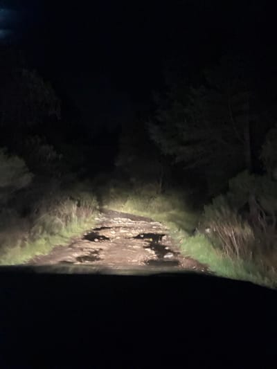 A dark, vertically-oriented image reveals a partially illuminated road beside dense foliage. Light reflects unevenly on the road's surface, suggesting moisture or puddles. Vegetation borders the right side, merging with dark shadows toward the left, obscuring detail. The scene evokes an atmosphere of nightfall.