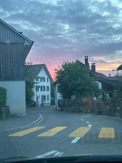 The image depicts a street scene in Winterthur, Switzerland, at dusk or dawn. The sky is a mix of gray clouds with pink and orange hues near the horizon. On either side of the street are buildings of various designs, including one with white walls and multiple windows. Vegetation, including trees and ivy, is visible throughout the scene. The asphalt street has painted yellow and white markings, possibly for pedestrian crossings or traffic control. No people are clearly visible. The overall scene suggests a residential area with a quiet atmosphere.