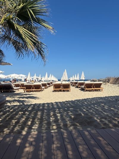 The image depicts a beach scene in Sant Josep de sa Talaia, Spain, on a clear day with a bright blue sky. In the foreground, a wooden deck area is visible with dappled shade cast by palm fronds from the upper left. The beach itself is composed of light-colored sand, with numerous rows of empty wooden sun loungers and white beach umbrellas neatly arranged. Some of these umbrellas are open, providing shade, while others are closed. In the middle ground, several individuals can be seen, some sitting on loungers and others standing, interacting with each other. Beyond the loungers and umbrellas, the calm blue sea stretches to the horizon. A fence made of natural materials, possibly reeds or bamboo, marks the boundary of the beach in the distance. The overall atmosphere is serene and suggests a resort or beach club setting.