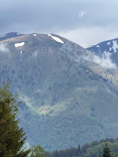 The image shows a mountain partially covered in snow, likely taken near the Rila Monastery in Bulgaria. The mountainside is mostly green with areas of sparse vegetation and exposed rock. Patches of snow are visible at higher elevations. A line of trees is seen on the right-hand side of the frame, with some in the foreground. The sky is overcast with clouds partially obscuring the mountain.
