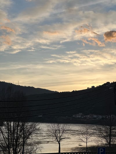 The image captures a serene landscape scene during either sunrise or sunset, characterized by strong backlighting and silhouettes. The sky dominates the upper portion of the image, displaying a gradient of colors from bright golden-yellow near the horizon to softer blues and grays higher up. Wispy, streaky clouds, some tinged with peachy-orange and brown hues from the low sun, are scattered across the sky, particularly concentrated in the upper left and center.

Below the sky, a dark, undulating hillside stretches horizontally across the mid-ground, appearing as a silhouette against the bright sky. Parallel lines, clearly identifiable as multiple train tracks, run along the base of this hillside, extending into the distance. Small, indistinct structures, possibly buildings or houses, are visible as dark shapes along the crest of the hill. Towards the left, faintly silhouetted power lines or utility poles can be seen against the sky.

In the foreground, a body of water, likely a river, fills the lower section of the image. Its surface reflects the golden light from the sky, creating shimmering, rippled patterns that show vertical streaks of light and shadow. Several deciduous trees with bare, intricate branches stand prominently in the immediate foreground, silhouetted starkly against the bright reflections on the water. These bare branches suggest the season is late autumn, winter, or early spring.

On the far right side of the image, partially visible above the water line, is a blue sign with a white capital "P," indicating a parking area. The overall mood is peaceful and atmospheric, capturing the fleeting beauty of twilight or dawn.