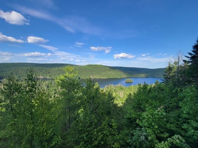 A wide-angle, eye-level outdoor shot captures a vast, forested landscape with a tranquil lake under a bright blue sky dotted with white, wispy clouds. The foreground is dominated by dense, lush green trees, their branches creating a layered effect. In the mid-ground, a serene, dark blue lake stretches across the frame, with a small, verdant island positioned in its center. The background consists of rolling hills covered in a thick carpet of evergreen trees, fading into the distance. The scene evokes a sense of peaceful, natural wilderness, likely located in a rural or parkland setting within Shawinigan, Canada.