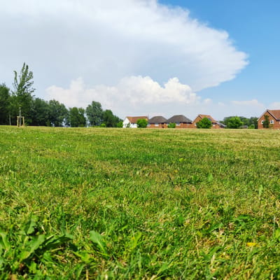 The image depicts a wide, grassy field with a slight incline, leading towards a row of houses in the distance. The foreground is dominated by lush green grass, some of which appears slightly dry or yellowed in patches, with a few scattered wildflowers and broadleaf plants.

In the midground, a line of trees separates the field from a residential area. Behind the trees, several houses with pitched roofs are visible. These houses vary in architectural style, with some appearing to be made of red brick and others of white render. White-framed windows and green trees are interspersed among the homes. The houses are situated on a gentle hill, and some have solar panels on their roofs.

The sky above is a bright blue, populated by large, fluffy white cumulus clouds. The sunlight suggests it is daytime, likely late morning or early afternoon, given the brightness and the clear sky with some cloud cover. The overall scene conveys a peaceful, suburban setting, possibly a park or common area adjacent to a residential neighborhood. There is no text visible in the image. The location is identified as Knowsley, United Kingdom.
